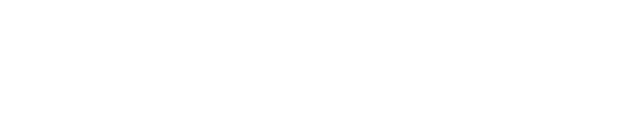 NT303 Logo