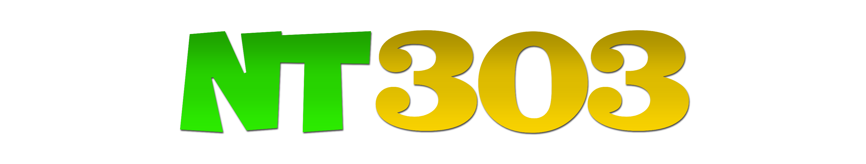 nt303